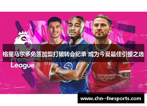 格里马尔多免签加盟打破转会纪录 成为今夏最佳引援之选 格里马尔多免签加盟打破转会纪录 成为今夏最佳引援之选