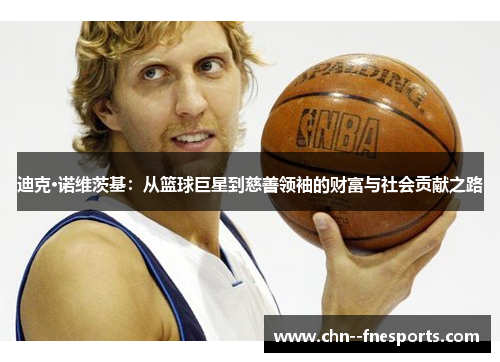 迪克·诺维茨基：从篮球巨星到慈善领袖的财富与社会贡献之路