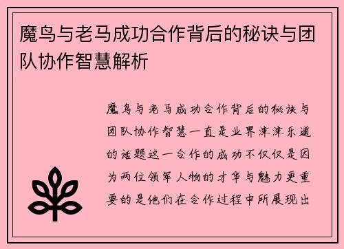 魔鸟与老马成功合作背后的秘诀与团队协作智慧解析